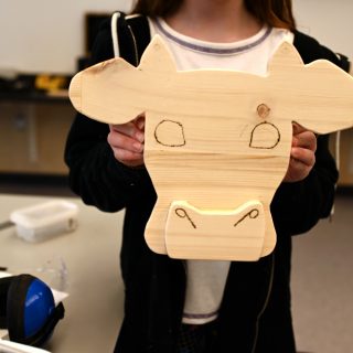 Cow